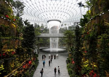 La cascada interior más alta del mundo está en un aeropuerto