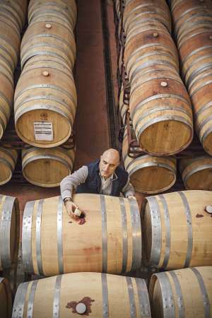 La sala de barricas de Bodegas Paiva, en Almendralejo.