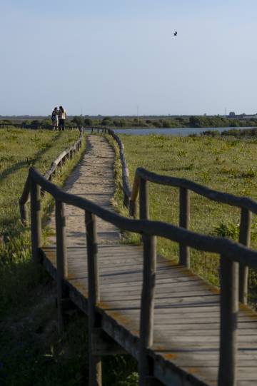 Una de las pasarelas en la laguna de la Dehesa de Abajo (Sevilla).