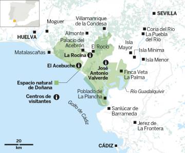 Mil maneras de disfrutar en Doñana
