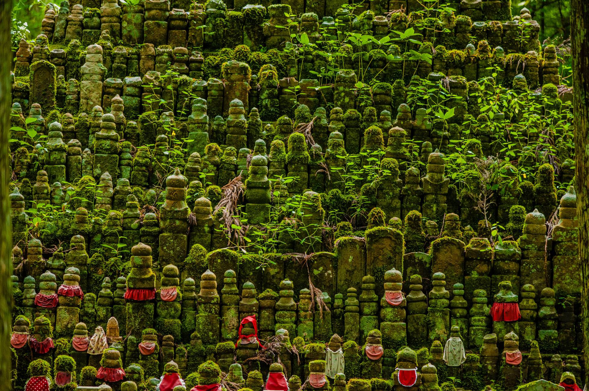 Cemitério do santuário Okuno-in, no monte Koya (Japão).