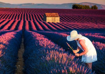 12 pistas para un viaje insuperable por la Provenza 12 pistas para un viaje insuperable por la Provenza