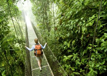 Selva, café y guacamayos, la Costa Rica que inspiró al diseñador Juan Duyos Selva, café y guacamayos, la Costa Rica que inspiró al diseñador Juan Duyos