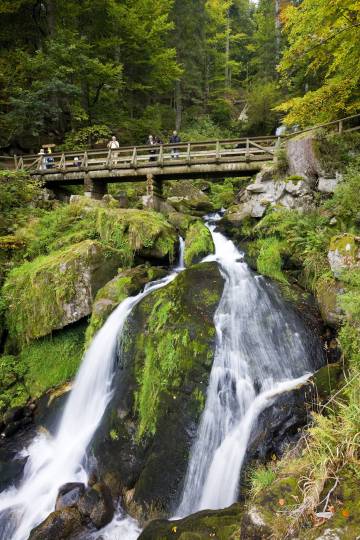 Puente sobre las cascadas de Triberg, en la Selva Negra.