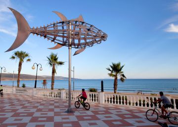Por la costa de Cádiz en busca del atún de almadraba Por la costa de Cádiz en busca del atún de almadraba