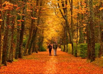 23 propuestas para estrenar el otoño