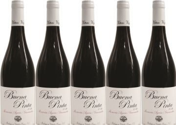 Buena Pinta 2017, un brindis al terruño Buena Pinta 2017, un brindis al terruño