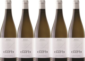 Horizonte de Exopto 2017, vibrante frutosidad