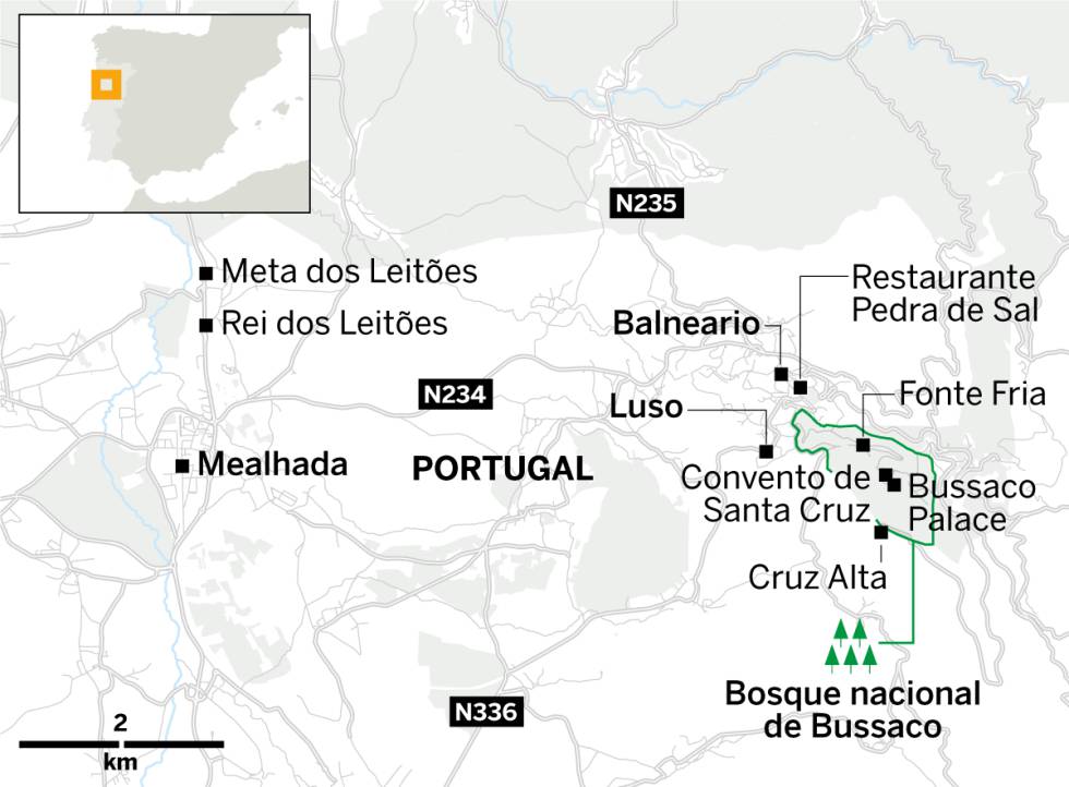 Los gigantes verdes de Bussaco