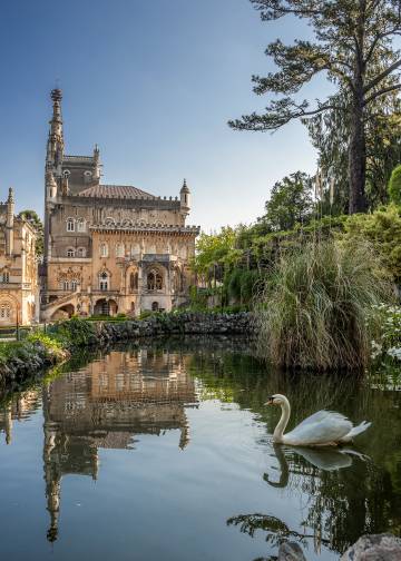 El palacio real, convertido en hotel, en pleno bosque de Bussaco (Portugal).