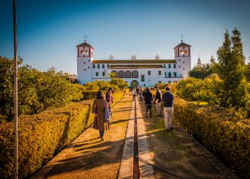 Los mejores planes de oleoturismo en España Los mejores planes de oleoturismo en España