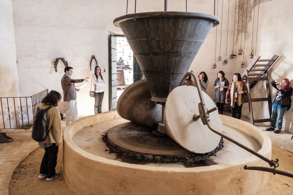 Almazara del siglo XVII en Hacienda Guzmán (Sevilla).