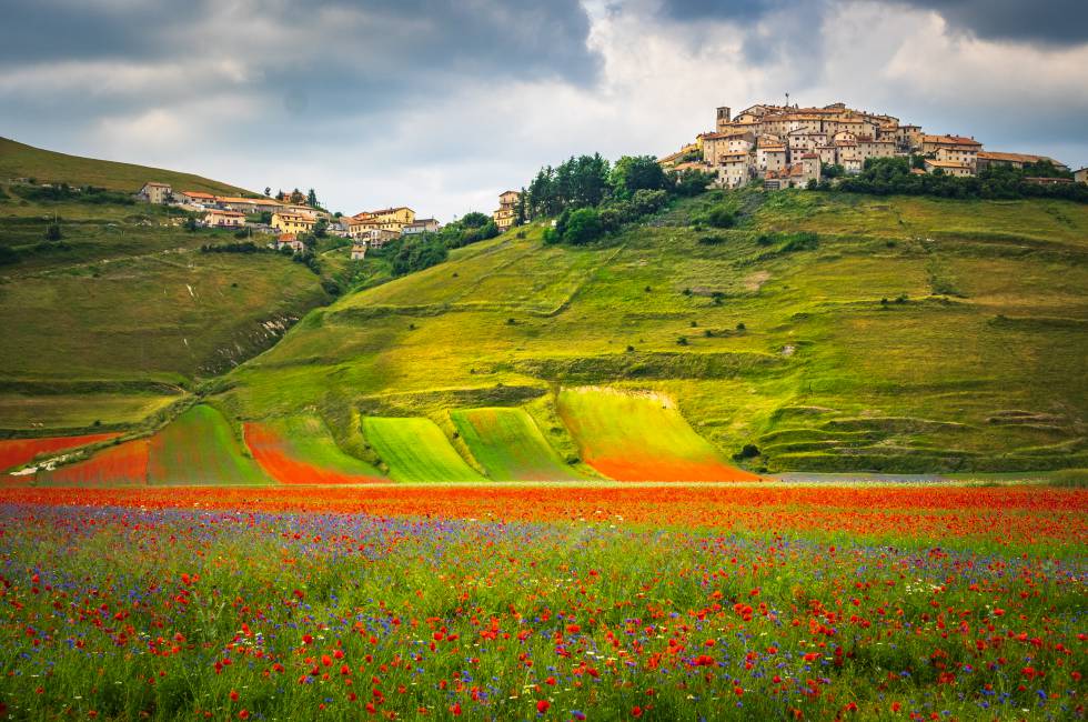 Desde mediados de mayo hasta comienzos de julio, la llanura de Castellucio di Norcia, en los Montes Sibilinos, se cubren de millones de amapolas, lirios, anémonas y margaritas, un espectáculo natural conocido como La Fiorita.