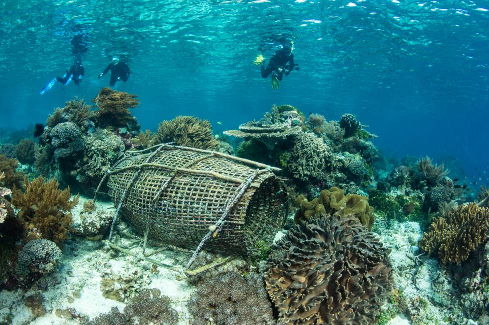 Buceadores en el archipiélago de Alor, al norte de Timor.