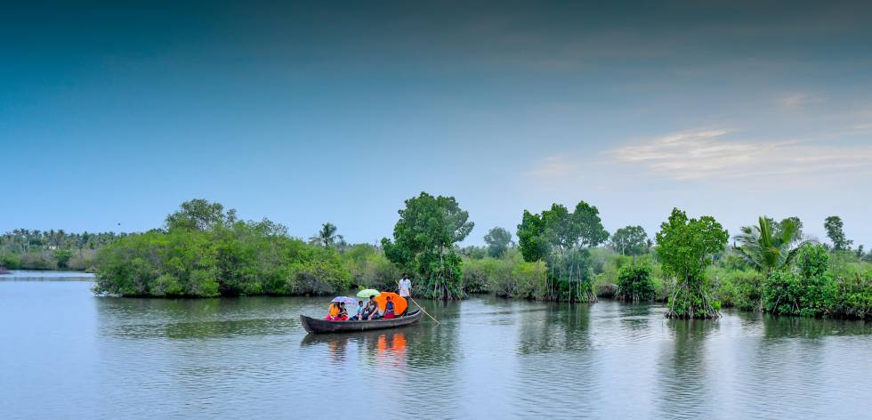 Una canoa en uno de los característicos 'backwaters' o canales navegables en Kerala.
