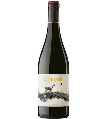 Diez vinos de altura