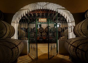 Irse de vinos, en casa Irse de vinos, en casa