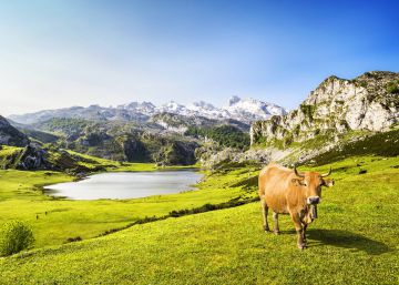 15 razones para volver a Asturias 15 razones para volver a Asturias