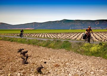 Diez rutas ciclistas en España para celebrar el Día de la Bici Diez rutas ciclistas en España para celebrar el Día de la Bici