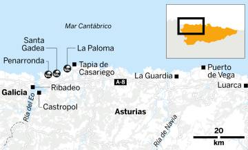 Bajo la palmera de Villa Rosita