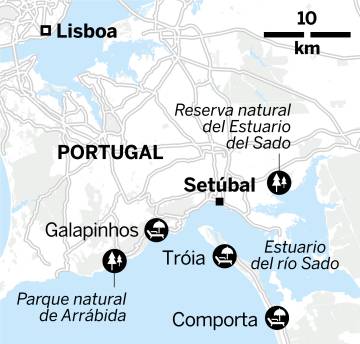 ‘Foodtruck’ de ostras en Setúbal