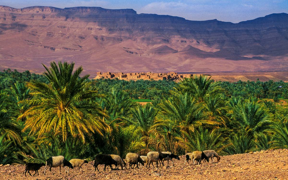 Marruecos en modo rural