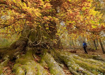 Planes de otoño para desconectar Planes de otoño para desconectar