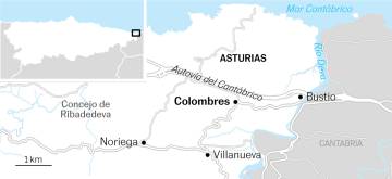 Si hay palmera, es casa indiana