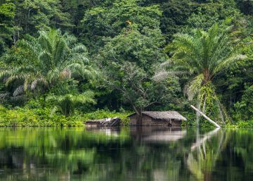 El hechizo del Congo El hechizo del Congo