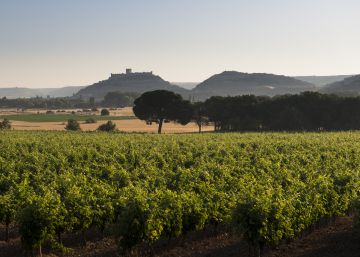 Una ruta celestial por tierra de vinos Una ruta celestial por tierra de vinos