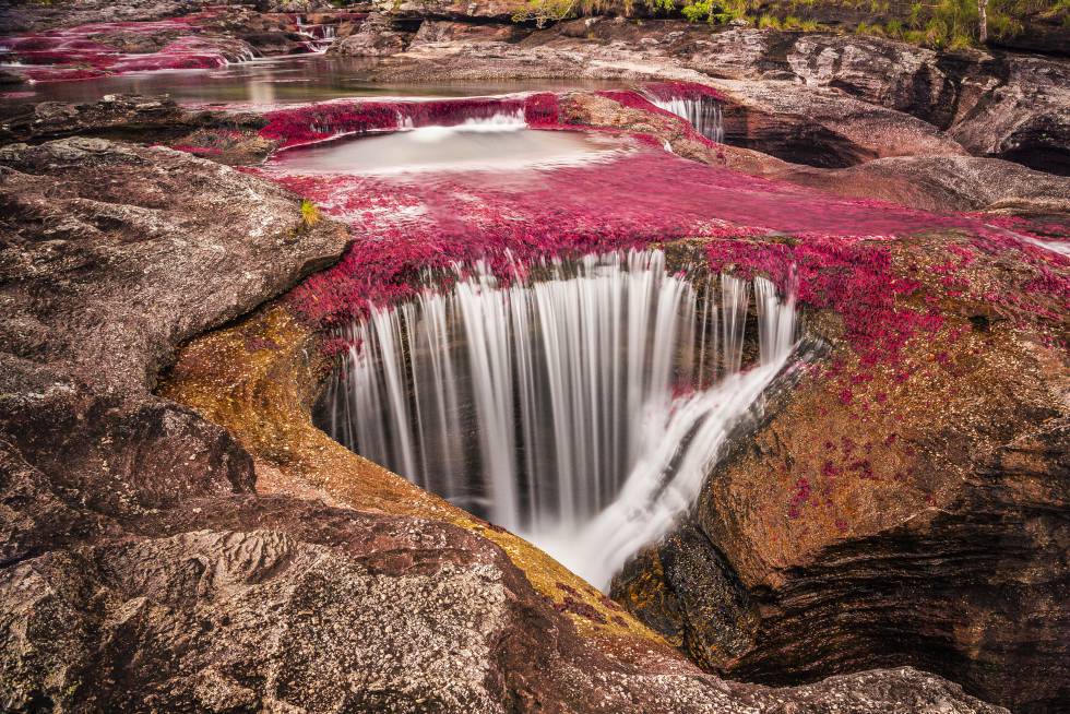 Caño Cristales, en Colombia, es considerado por muchos como el río más bonito del mundo.