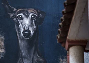De turrones y grafitis en Lleida De turrones y grafitis en Lleida