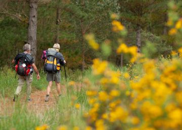Diez rutas jacobeas poco transitadas para un Camino de Santiago diferente Diez rutas jacobeas poco transitadas para un Camino de Santiago diferente