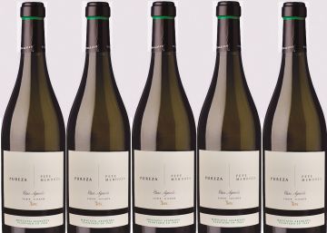 Pepe Mendoza Pureza 2019, notas de brioche y pétalos Pepe Mendoza Pureza 2019, notas de brioche y pétalos