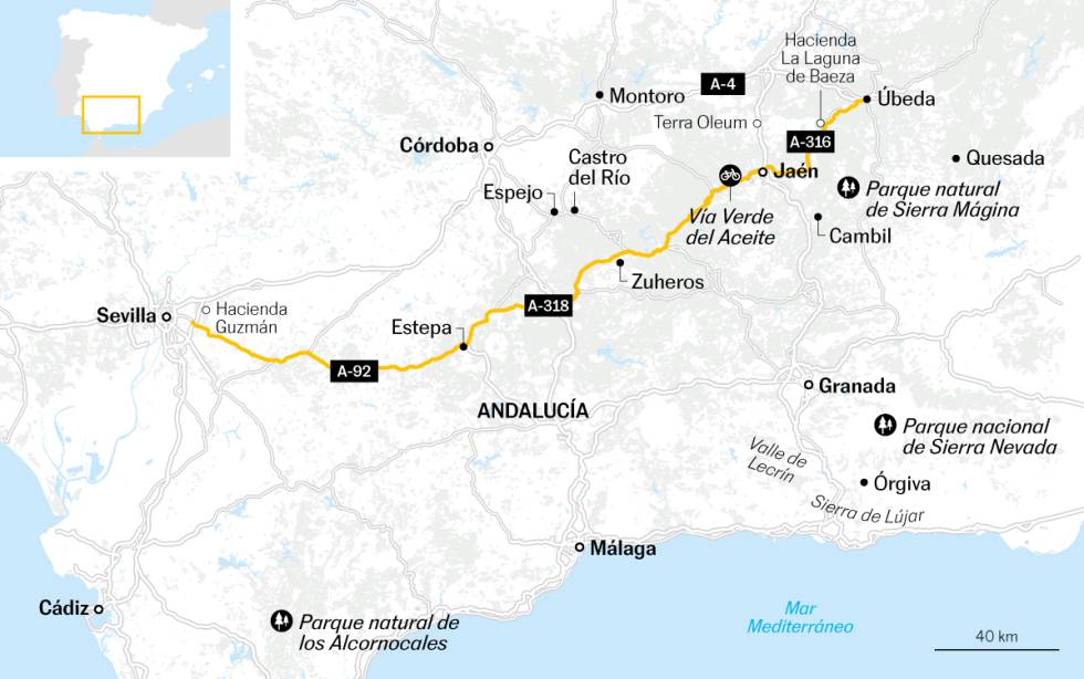 Andalucía, viaje por un infinito océano de olivos