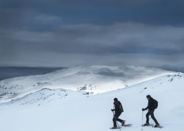 A la nieve con raquetas A la nieve con raquetas