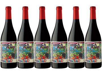 Llenca Plana 2018, compleja sencillez Llenca Plana 2018, compleja sencillez