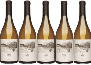 Salix 2019, seductor tejido aromático Salix 2019, seductor tejido aromático