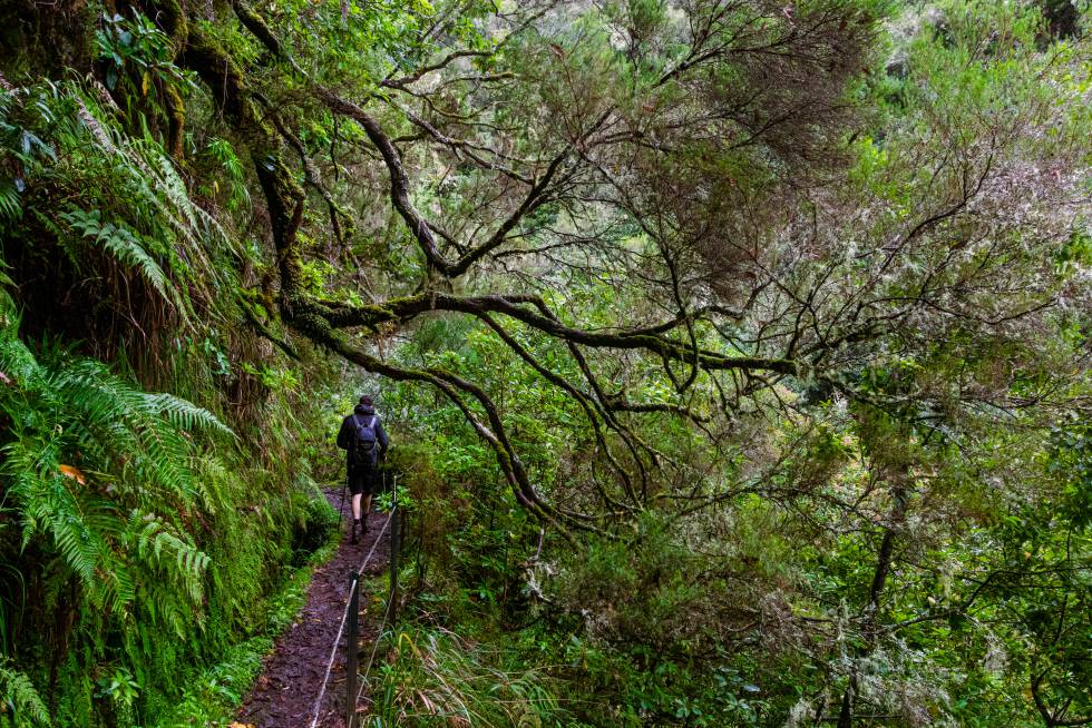 Senderismo en la la levada do Caldeirão Verde, en Madeira (Portugal).
