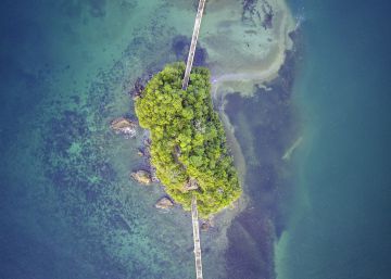 Samaná, un capricho caribeño Samaná, un capricho caribeño
