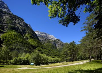 Este verano ¡me voy de camping! Este verano ¡me voy de camping!