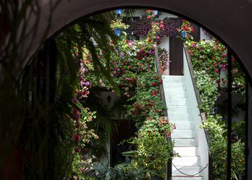 La Fiesta de los Patios de Córdoba, un siglo entre flores La Fiesta de los Patios de Córdoba, un siglo entre flores