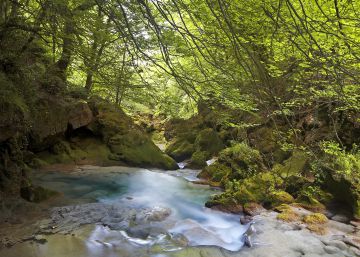 Navarra, escenario de bosques, desiertos y brujas Navarra, escenario de bosques, desiertos y brujas