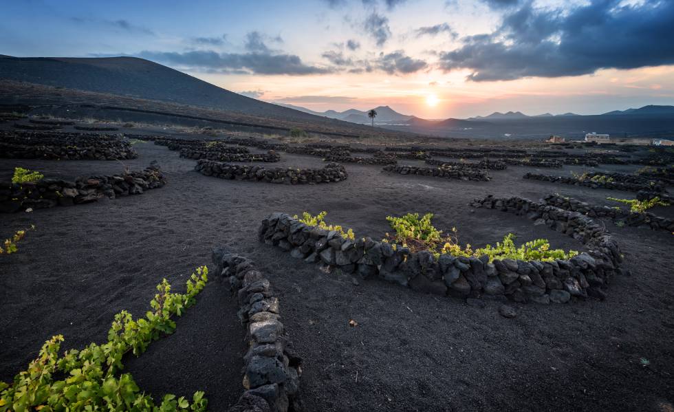 La Geria, Lanzarote.