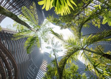 De Valencia a Nueva York: vuelta al mundo de jardín en jardín De Valencia a Nueva York: vuelta al mundo de jardín en jardín