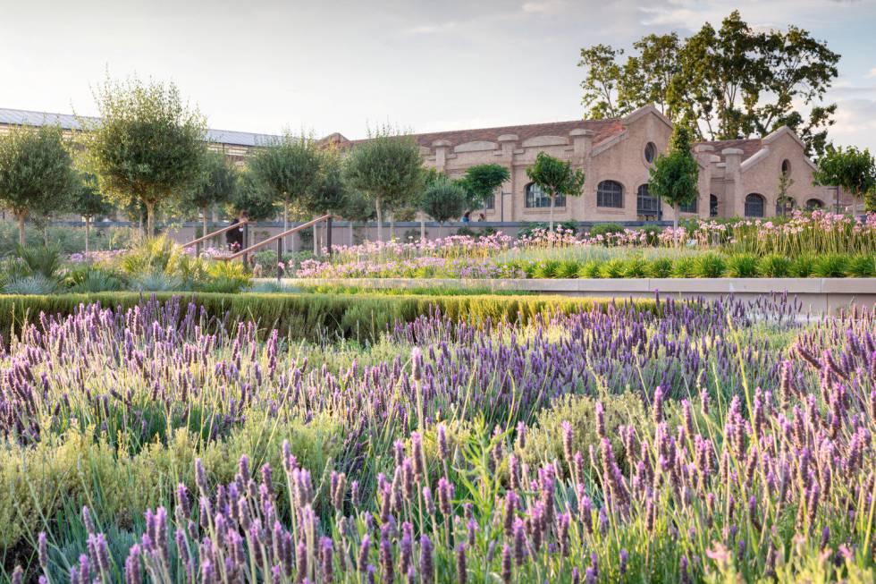 Parque Central de Valencia