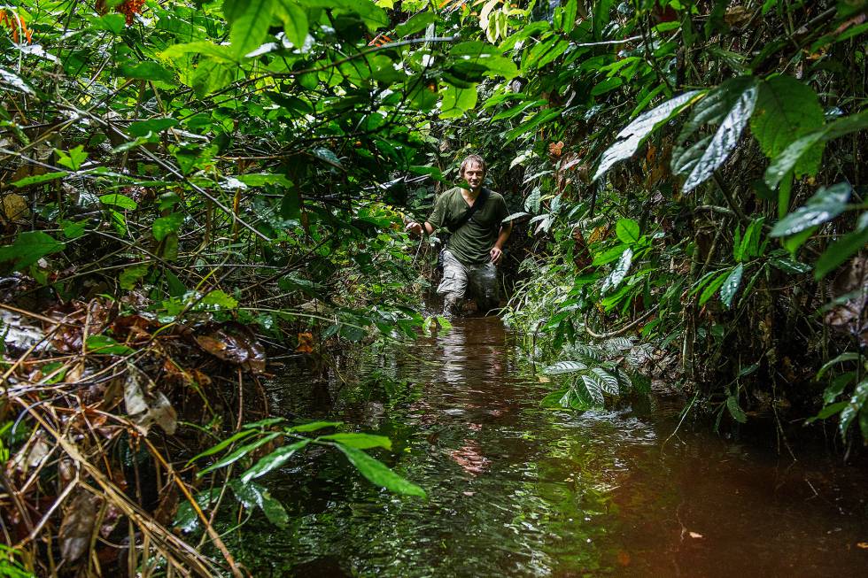 Un fotógrafo en las selvas pantanosas del Congo, en África.