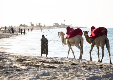 Djerba, la tierra de los lotófagos Djerba, la tierra de los lotófagos