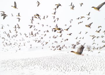 ‘Sobre nosotros solo el cielo’: las 20 mejores fotos aéreas de 2021 ‘Sobre nosotros solo el cielo’: las 20 mejores fotos aéreas de 2021