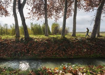 Por las Riberas del Segre, tierra de memoria y vino Por las Riberas del Segre, tierra de memoria y vino